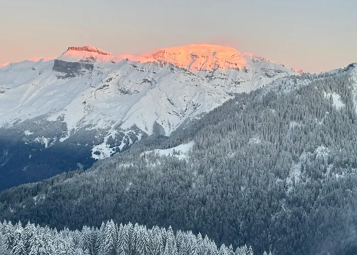 Samoens 1600 Les Cimes